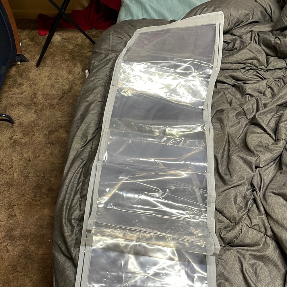 Closet purse organizer